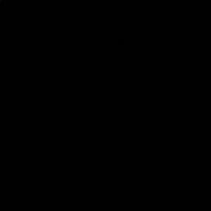 Meet your Posher, Max